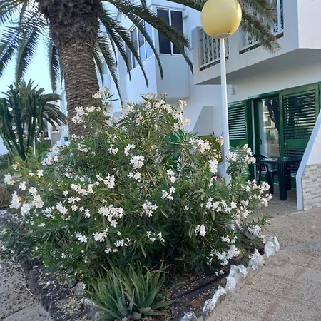 Fuerteventura Park * 科斯塔德安提瓜
